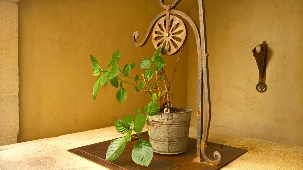 فندق Antichi Feudi Dimora D'Epoca Teggiano المظهر الخارجي الصورة